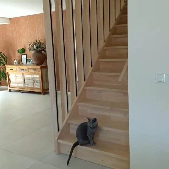 Rubberhouten trap