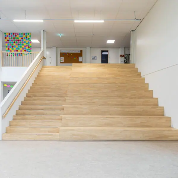 Tribunetrap school